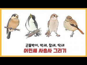 곤줄박이, 박새, 참새, 딱새! 어린새들 그리기! / 동네 뽀시래기들! / 새 그리기 / Bird drawing