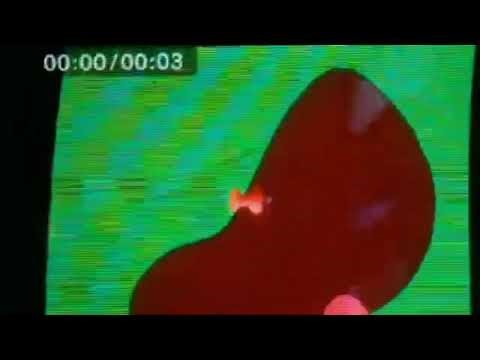 Nick Jr Face Has A New Trick (Genetic Version)