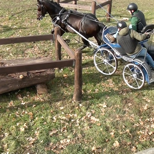 Moments Média on Reels