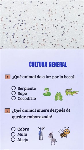 QUIZ CULTURA GENERAL! #quiz #preguntasyrespuestas #trivia #conocimiento #culturageneral