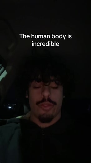 Understanding the Human Body's Energy Conversion