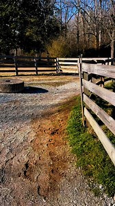 Waterfall Highlight💡: Giving some love to the beautiful Rutledge Falls 🥰 This waterfall is on private property but they allow visiting during daytime hours. Remember to keep it clean if visiting and Leave No Trace 🌎🌱 They are so kind to let us enjoy this easily accessible waterfall so let’s be good stewards of nature and keep it clean y’all! 🤩 You can also check out Machine Falls and Old Stone Fort while in this area! 🙌 #nature #tennessee #outdoors #getoutside #travel #traveltennessee #wat