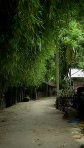 Green Assam💚 | Beauty of Assam
