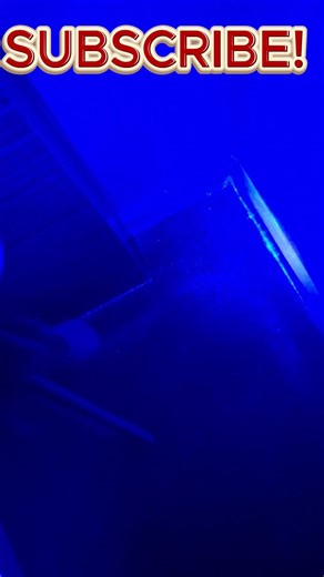 🦠 UV Light Test in a Travel Lodge Room 😳