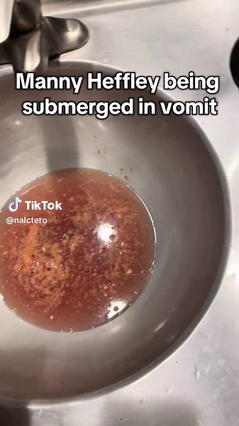 Manny Heffley's Memorable Moments in Diary of a Wimpy Kid