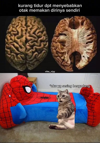 Efek Begadang pada Otak: Fakta dan Meme Lucu