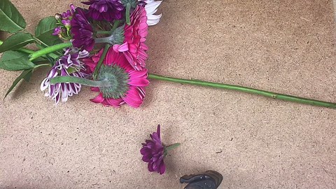 How to Dry Flowers for Resin Projects – Easy & Long-Lasting Method!