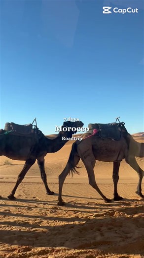 ✨ Discover Morocco beyond the usual routes ✨ From golden deserts to cedar forests, ancient medinas to silent mountain roads — Morocco is a journey, not just a destination. 🌍 In this video: • Breathtaking views of Morocco • A 7-day road trip itinerary through hidden gems • Places most travelers never get to see This is the beginning of WHG – World Hidden Gems. A new online travel agency born from a simple dream: 👉 help people travel deeper, smarter, and more authentically. 🤍 For now, we’re off