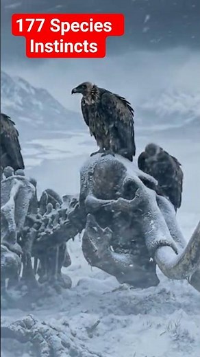 Ice Age Warmth Wiped Out Giants in Days #iceage #extinction #prehistoric