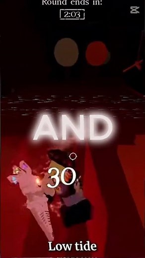 My Compass Is Curiosity