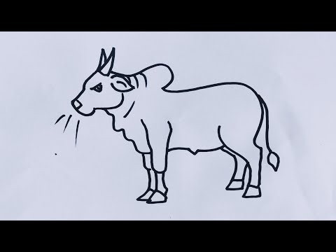 How to draw a Ox/ Ox drawing easy way/Animal drawing ‪@SimpleLineDrawing‬
