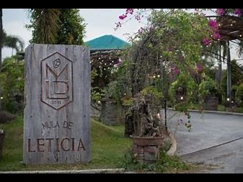 Mula de Leticia Tour and Sightseeing