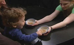 Sorry, we have encountered a problem. - Alexander Street, a ProQuest Company