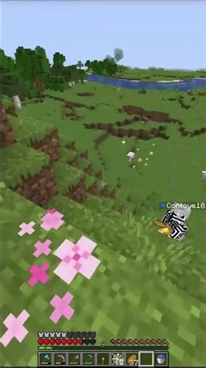 Null is annoying #effectking #minecraft #isurvived100daysminecraft #gaming #mccglcc #memes