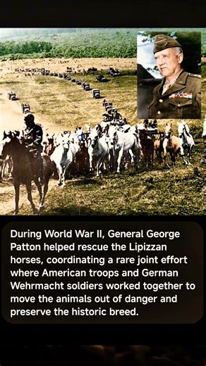 #history #america #usa