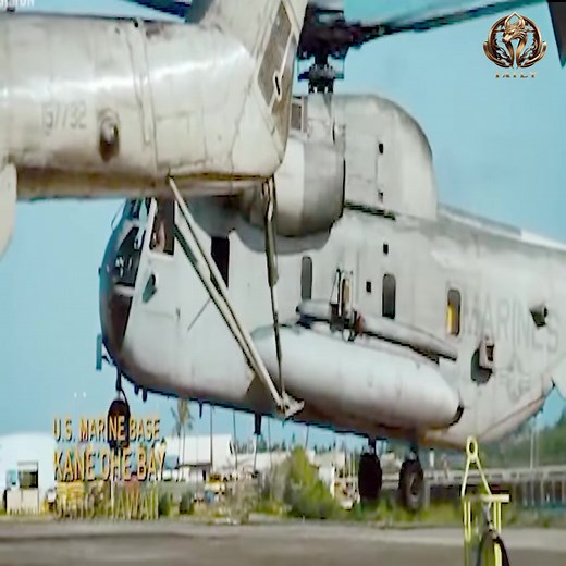 6.7K views · 144 reactions | best action series on netflix 2025 | Fun MLBB | Facebook