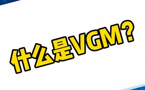 小杨讲外贸：什么是VGM？