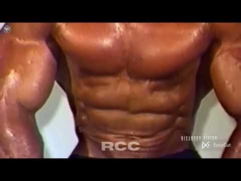 Happy nation X Jo tere sang (Male Antham)