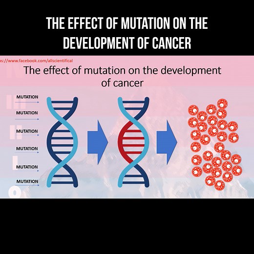 The effect of mutation on the development of cancer #mutation #cancer #dna | About health and science in simple words | Facebook