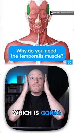 Why do you need your temporalis muscle?