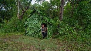 432K views · 10K reactions | Building a Little House out of Tree Leaves, Girl Living Off Grid | Jungle Survival | Facebook