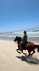 AIRBNB PARA HASTA 10 PERSONAS CON VISTA AL MAR DESDE $199 DLLS ✨¿Planeando un roadtrip por la Baja? 🚗🌊 AIRBNB PUERTO SALINA LA MARINA tiene todo lo que buscas: lugares buenos, bonitos y con calidad 5 estrellas ⭐️ Este Airbnb te ofrece: 🏖️ Vista al mar 🚪 Acceso directo a la playa 🐾 Pet friendly 🛡️ Seguridad 24/7 🏊‍♀️ Alberca 📶 Wifi 🚗 Estacionamiento 🏋Gimnasio 🤑Todo desde $199 dlls la noche Todo lo que necesitas para desconectarte y descansar como mereces💤 Etiqueta con quién irás | Yo 