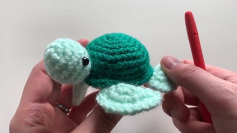 Tori the Turtle Part 3 – How to Crochet the Shell | Sweet Softies Amigurumi Tutorial
