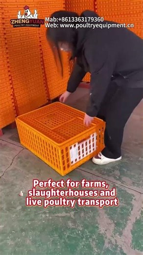 Large Ventilated Chicken Transport Crate Safe for Poultry #chicken #farming