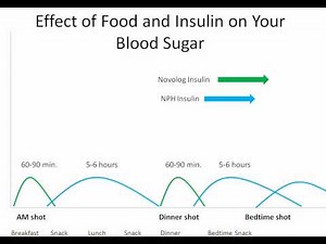Food and Your Blood Sugar -- Novolog® and NPH - Diabetes Center for Children at CHOP