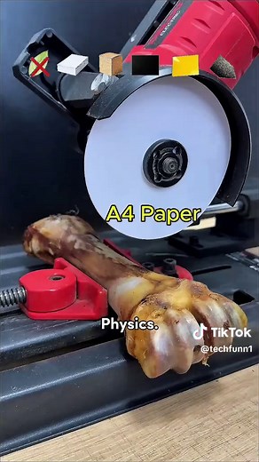Amazing Physics Experiments to Try at Home