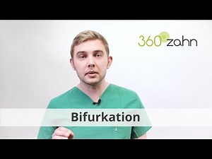 Bifurkation - Was ist eine Bifurkation? | Dental-Lexikon | 360°zahn