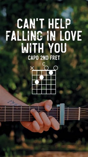 Can’t Help Falling In Love - @elvis Guitar Lesson using my @breedloveguitar Organic Performer Pro • • • #guitar #guitarlesson #guitarlessons #guitartutorial #elvis | The Groovy Guitar Dude
