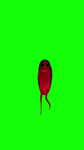 Cockroach dancing Meme Green Screen #capcut #capcutpioneer #pioneertemplate #meme #fyp #capcutinspiration #trend #capcut #viralgoals #protemplates #greenscreen #viral #memecut #catmemes #tiktok #funny #cockroach