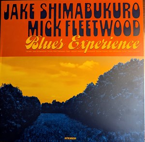Jake Shimabukuro, Mick Fleetwood - Blues Experience
