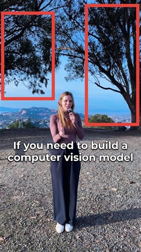 JournalClub.io on Instagram: "Self-Supervised Learning for Precise Individual Tree Segmentation in Airborne LiDAR Point Clouds"