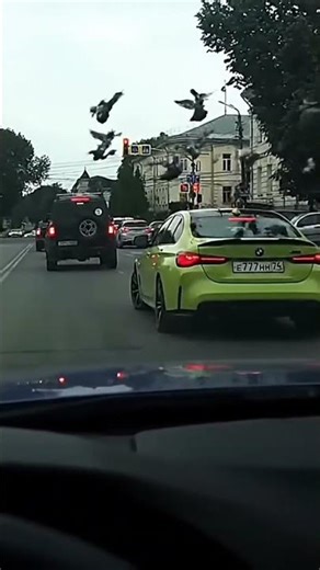 Cool Turns From BMW😀#bmw#bmwm4#bmwlovers#m4#cars#car#caredit#viralvideo#shorts#subscribe