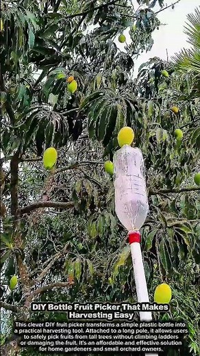 DIY Bottle Fruit Picker That Makes Harvesting Easy #diyprojects #diy
