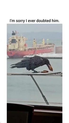 He really doesn't want to make a second trip🤣#viral #viralvideo #shortvideos #shortsviral #fun