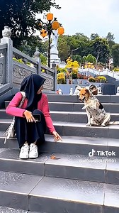 Weekend loading with doggie kisses 💋 🎥 @elisaelliott19901 | Long Dog