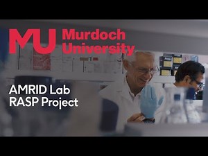 Rapid, large-scale antimicrobial screening using RASP