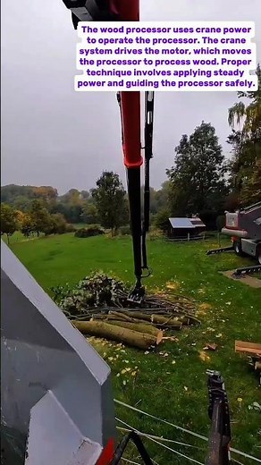 Wood Processor with Crane Mastery: Techniques, Safety, and Productivity Insights