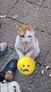 Introducing the "VitalWear SmartBand," a Next-generation wearable gadget