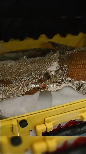 A piece of the iconic Heat Shield from the Apollo 11 Space Capsule? | Pawn Stars