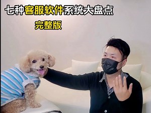 七种客服软件系统大盘点-完整版【客服软件管理系统教程】办公室公司领导团队管理提升经验升职加薪职场生存避坑分析教程实操方法