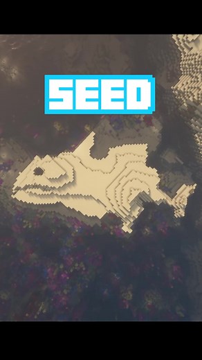 Exploring the Shark Seed in Minecraft | Fun Facts & DSMP Seed