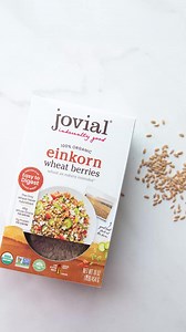 #DYK Did you know that Einkorn Wheat Berries are a powerfully nutritious ancient grain that are a great way to add protein to your diet? Enjoy them cooked and thrown into a salad, cracked and boiled like porridge, or ground into fresh whole wheat einkorn flour. Einkorn Wheat Berries are a convenient and delicious ingredient to have on hand in your pantry!⁠ ⁠ 4 Things to Know about Jovial's Einkorn:⁠ ● Jovial's Einkorn is grown in Italy, 100% organic, Non-GMO, Kosher, and certified free of Glypho