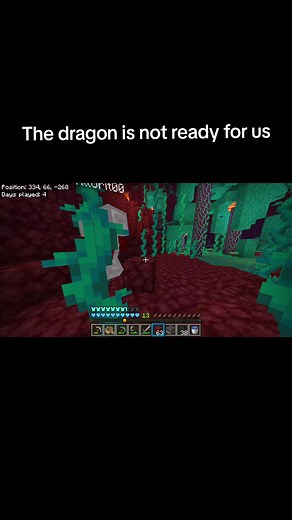 Minecraft Ender Dragon fight: We lived — Nether & dying moments