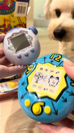 たまごっち好きさん大集合🥚✨✨