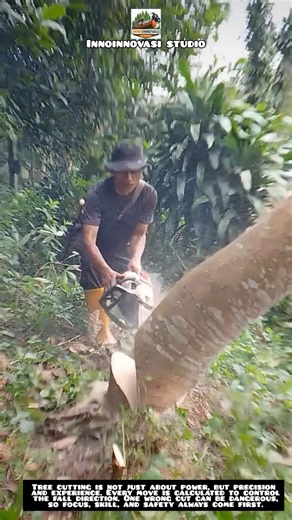 Precision Tree Cutting ⚠️ One Direction, Full Control 💪