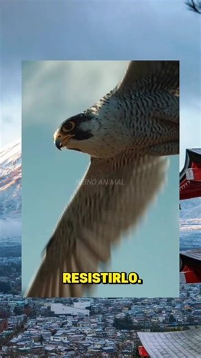 🦅 The Fastest Attack on the Planet 🎯